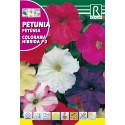 PETUNIA COLORAMA HIBRIDA