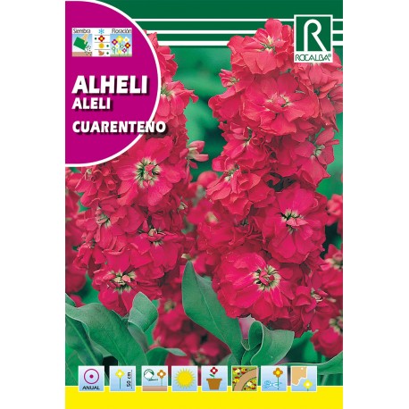 ALHELÍ ROJO